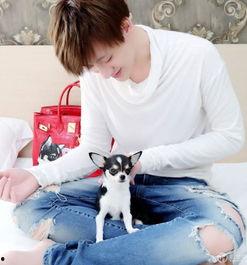 韩明星晕倒,突发健康状况引发关注