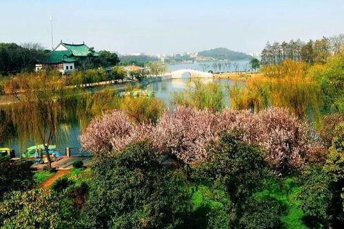 莲花湖公园吃瓜,公园里的一抹瓜香时光