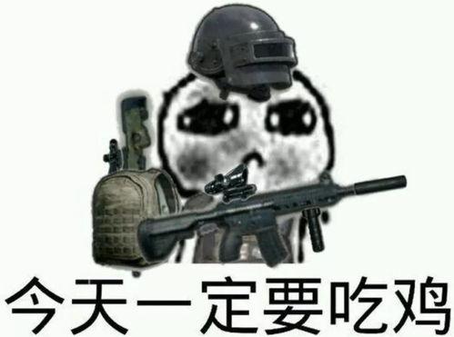 翅瓜吃鸡,一场别开生面的美食盛宴