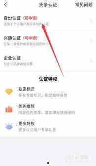 头条认证后不想显示实名,体验无拘束的头条之旅