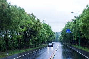 竹海网红路,探寻自然与人文交融的生态旅游新地标