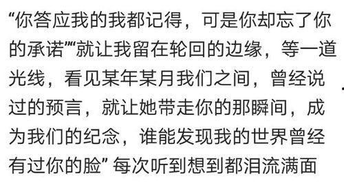 网红小胖的歌词,歌声中的青春记忆与梦想追求