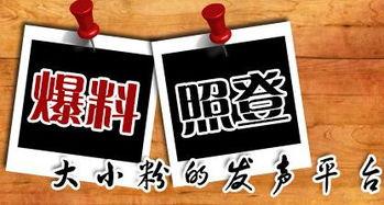 最新重庆爆料消息新闻,揭秘神秘事件背后的真相