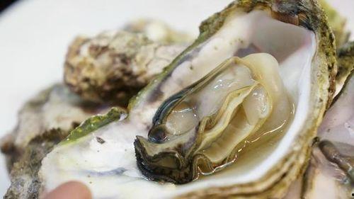 诬陷女友吃生蚝的网红,真相揭露引网友热议