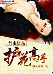 护花高手在都市在线观看,花间英雄，都市传奇
