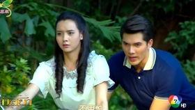 新鱼之恋泰剧在线观看,浪漫邂逅，爱在海洋深处