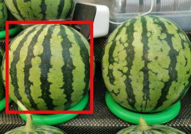 吃热门瓜,真相与八卦的交织