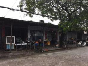 锡场镇网红,网红打卡新地标，魅力小镇焕新颜