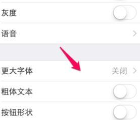 苹果手机看头条字太小