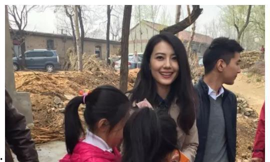 明星到家乡,明星家乡行纪实