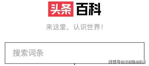 头条百科蓝湛,头条百科中的神秘剑客传奇