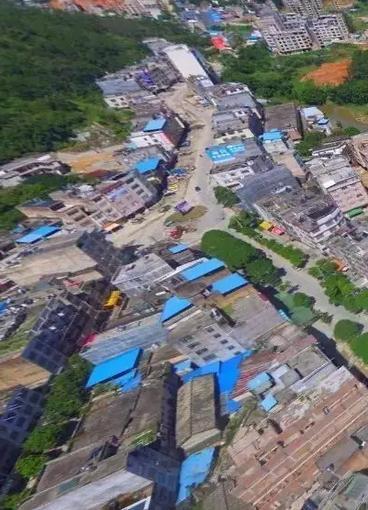 横县六靖镇新闻头条号,聚焦发展新动态，共绘乡村振兴新画卷