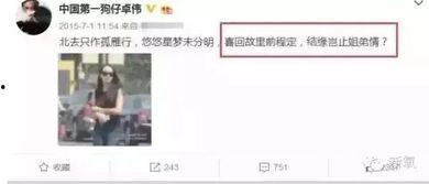 卓伟爆料过宋茜吗视频大全,揭秘娱乐圈背后的真相