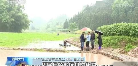 兰坪大竹新闻头条