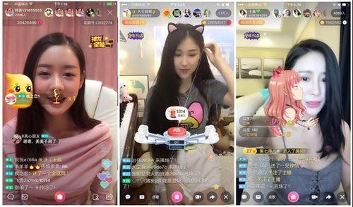 娱乐吃瓜酱大学,大学生活中的趣味瞬间